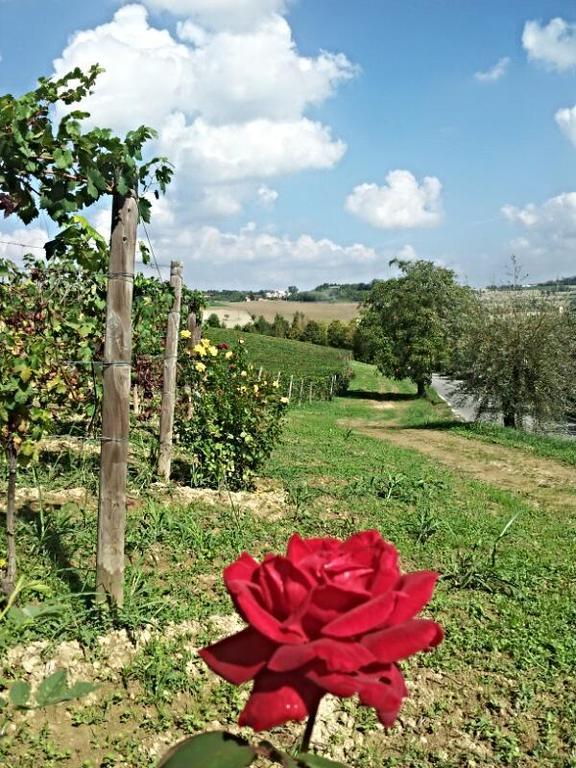 B&B Vigneto Pardom Montiglio エクステリア 写真