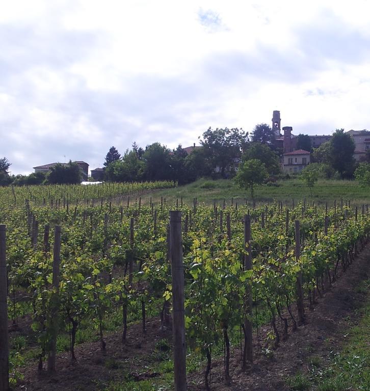 B&B Vigneto Pardom Montiglio エクステリア 写真