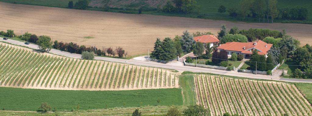 B&B Vigneto Pardom Montiglio エクステリア 写真