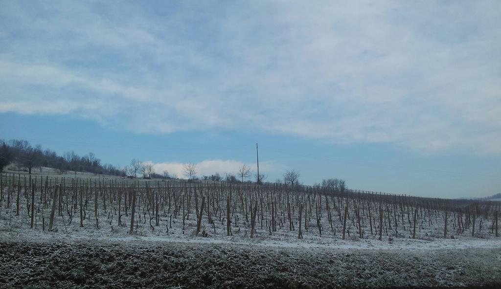 B&B Vigneto Pardom Montiglio エクステリア 写真